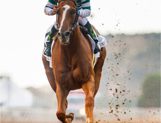 Jockeys en trainers in Japan  betrokken bij weddenschap schandaal bij paardenrennen