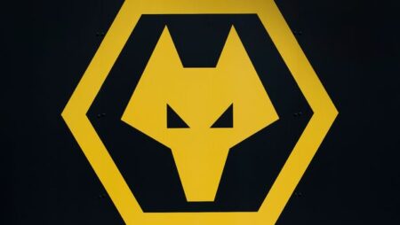 Wolves selecteert Bitci.com als nieuwe shirtsponsor