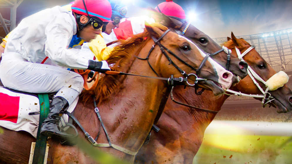 Asian Racing Federation stelt vast dat 61% van de online goksites illegaal zijn