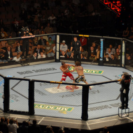 UFC vindt eerste gokpartner in Brazilië met Stake.com