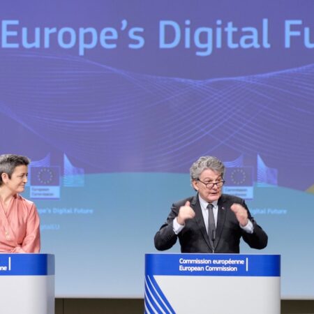 Bepalingen van de Wet digitale diensten van het Europees Parlement verwelkomd door EL