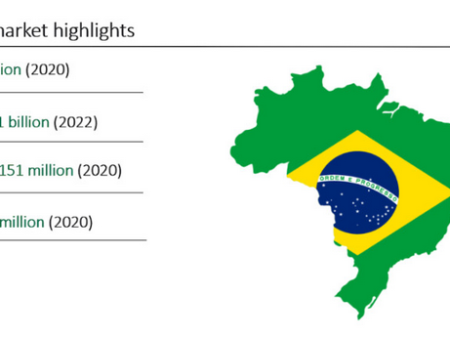 Brazilië: Bolsa Familia economische zwakheden blootgelegd buiten Bets regime